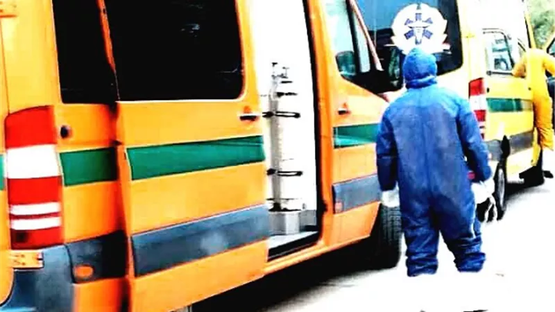 إصابة ٢٠شخصا بينهم ٤ اطفال فى حادث إنقلاب سيارة أجرة بالوادى الجديد