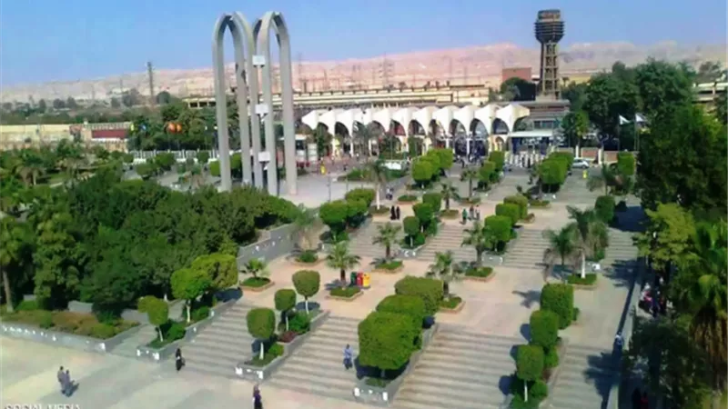 دورات تدريبية لأعضاء هيئة التدريس بجامعة حلوان.. تعرف على رابط التقديم و المواعيد