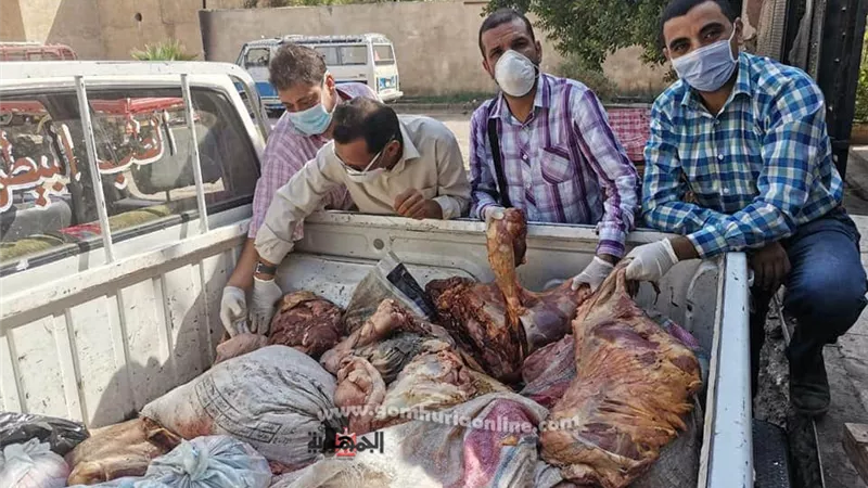 ضبط نصف طن لحوم حمير معدة للبيع قبل طرحها بالأسواف بسوهاج