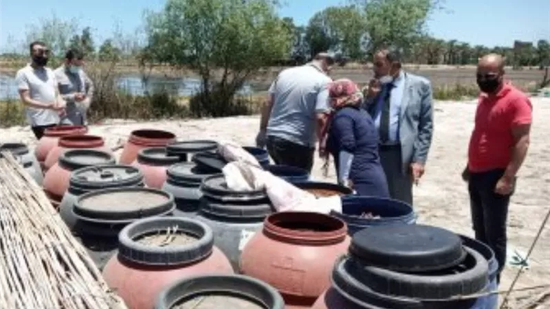غلق 7 مصانع غذائية بدون ترخيص وضبط 12.5 طن مخللات وملح مجهول المصدر بالقليوبية