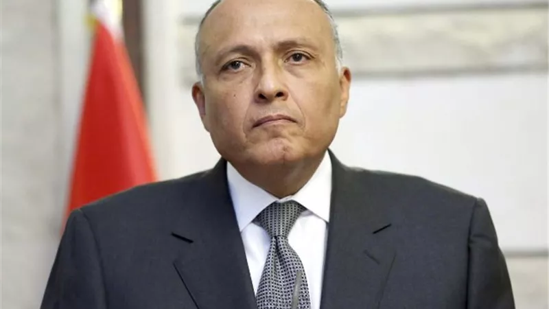شكرى يبحث هاتفيا مع وزير خارجية بريطانيا تطورات الازمة الليبية وملف سد النهضة
