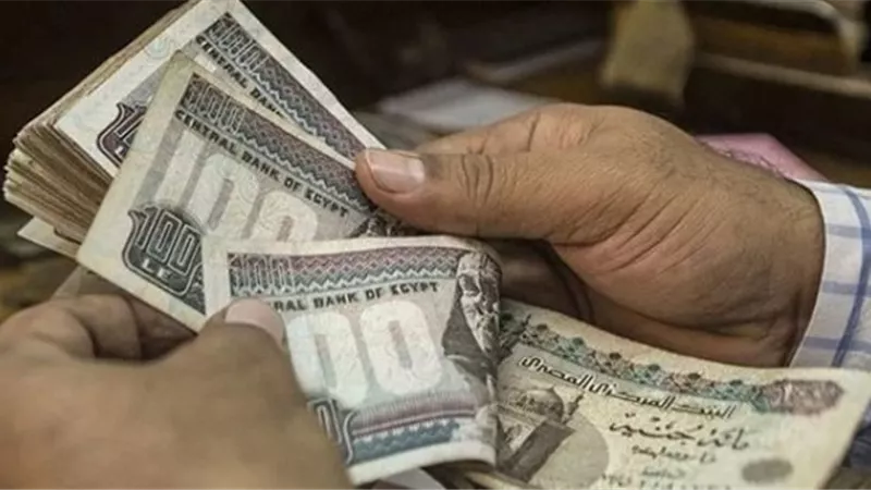 خبير تكنولوجيا معلومات: 
