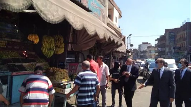محافظ كفرالشيخ يضبط شيش ويغلق محال بقرى المحافظة