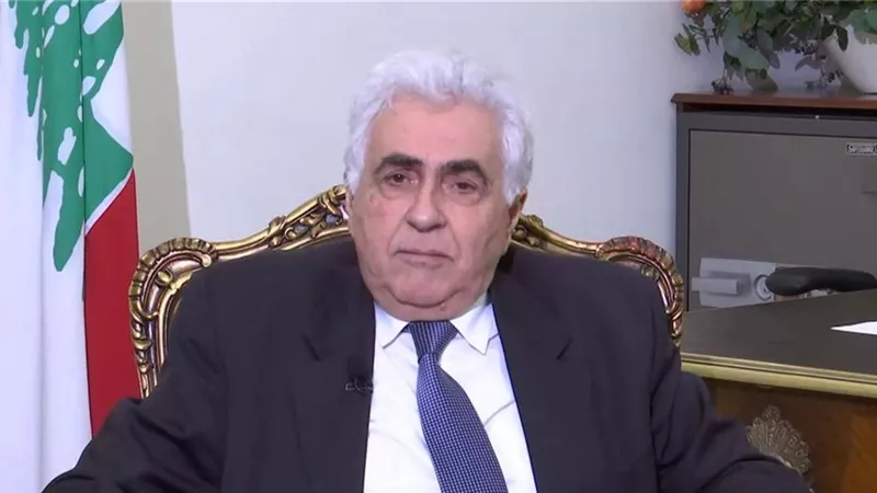 ناصيف: سنتقدم بشكوى لمجلس الأمن احتجاجا على القصف الاسرائيلى فى لبنان