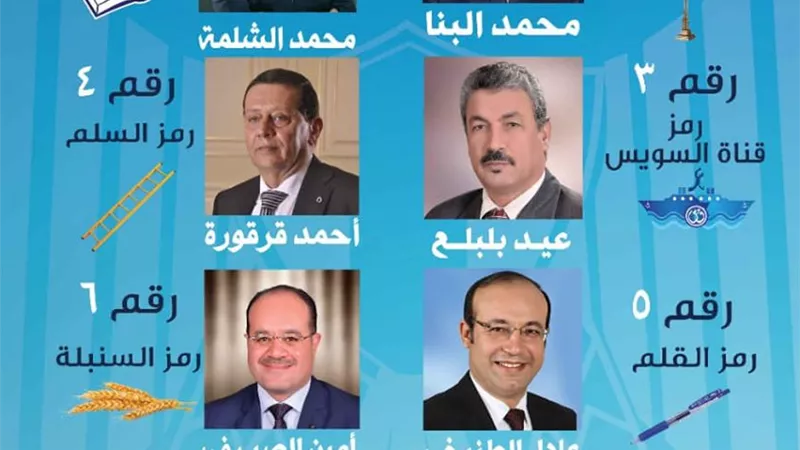 41 مرشحا يتنافسون على 7 مقاعد بالبحيرة يتصدرهم مستقبل وطن