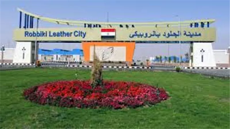 افتتاح الروبيكي هو قفزة نحو انطلاق الصادرات المصريه وتحقيق الحلم