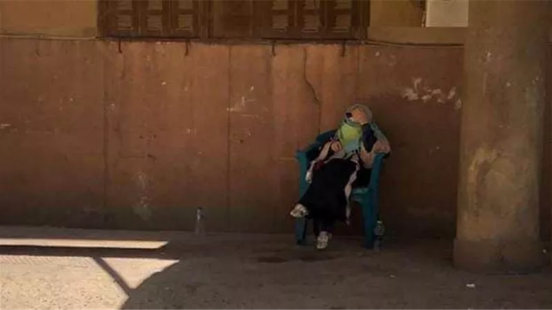 الموسيقيين تكشف اخر تطورات نجاة الصغيرة بعد ازمة عمارة الشربتلى