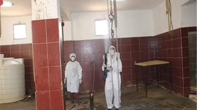 محافظة الجيزة : تطهير وتجهيز ٢٣ مجزرا لذبح الاضاحي خلال عيد الأضحى بالمجان