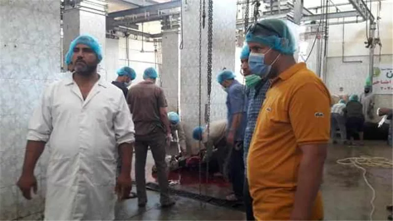 رئيس مدينة أشمون ومدير الطب البيطرى يتابعان عمل المجازر في أول أيام عيد الأضحى.صور