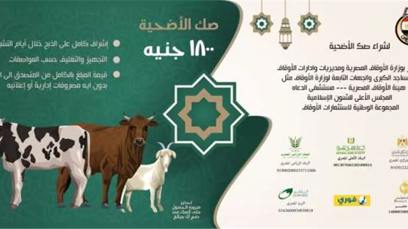 الأوقاف: 12 مليون و454 ألف جنيه زيادة فى مبيعات صكوك الأضاحى عن العام الماضى