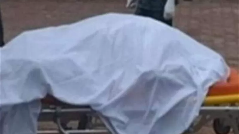 مصرع طفل صدمته سيارة نقل قمامه تابعه لمجلس مدينة المطريه بالدقهلية