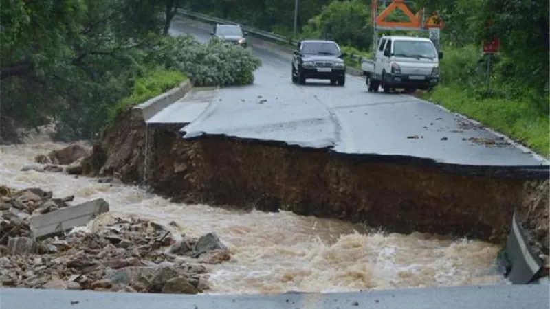 سيول تقتل 13 في كوريا الجنوبية