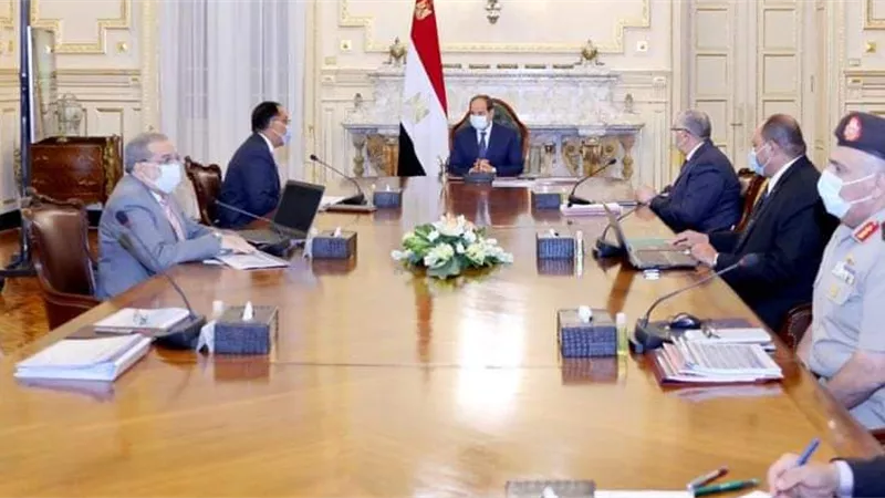 وزير الزراعة.. الرئيس السيسى يوجه بالتوسع في مشروعات وزارة الزراعة لما لها من مردود غذائي وصحي