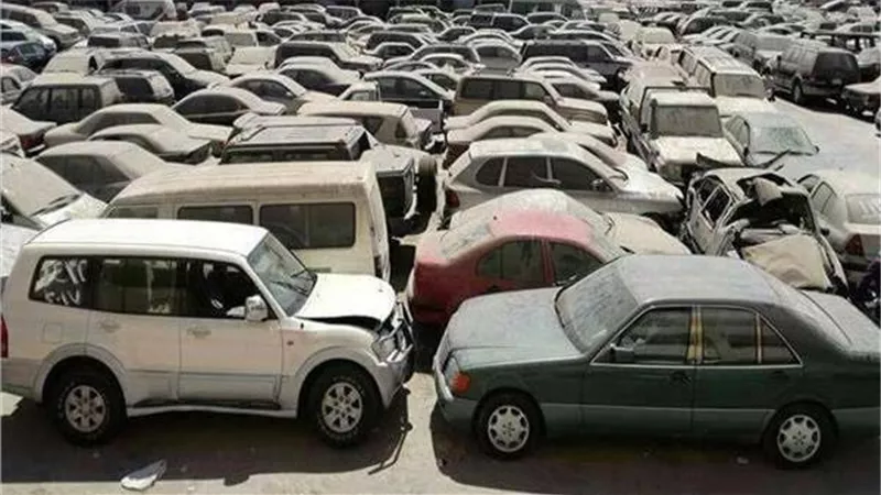 «جمارك الإسكندرية» أفرجت عن سيارات بـ 3,9 مليار جنيه في يوليو الماضي