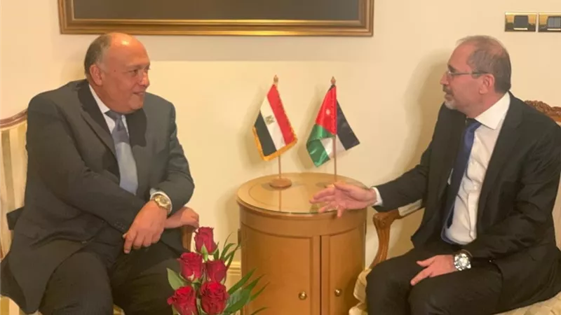 سامح شكري يلتقي نظيره الأردني