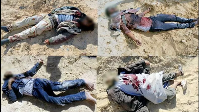 القوات المسلحة مقتل 59 تكفيريا عثر بحوزتهم على أسلحة نارية
