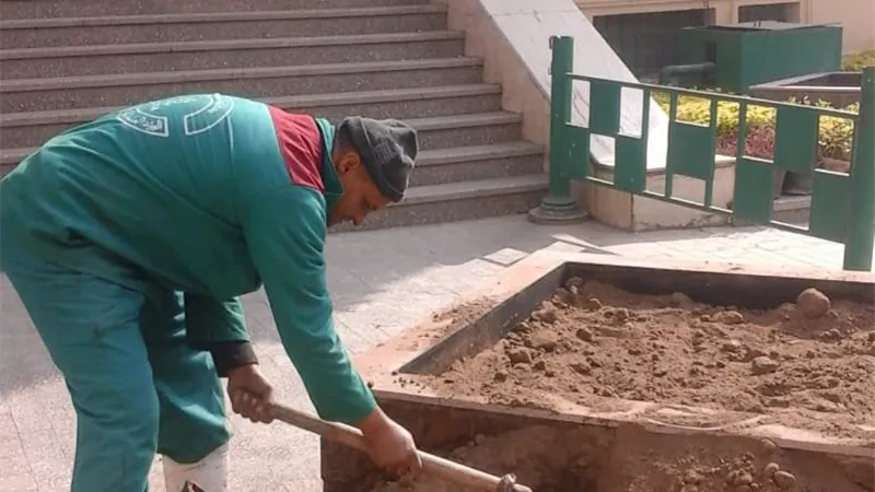 تجميل وتشجير ساحة ديوان محافظة القاهرة