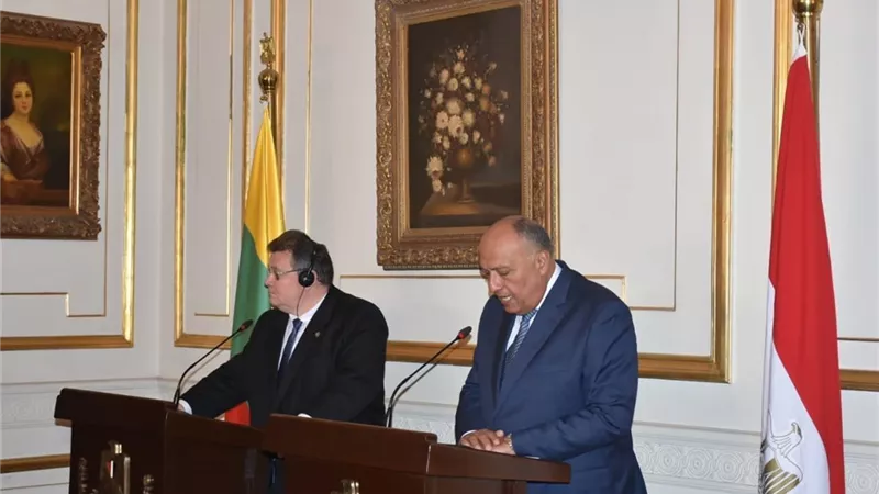 سامح شكري يعقد جلسة مباحثات مع نظيره الليتواني
