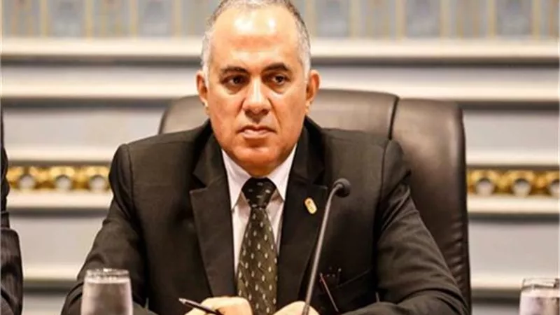 وزير الرى يشارك فى تنصيب رئيس الكونغو..نيابة عن السيسى