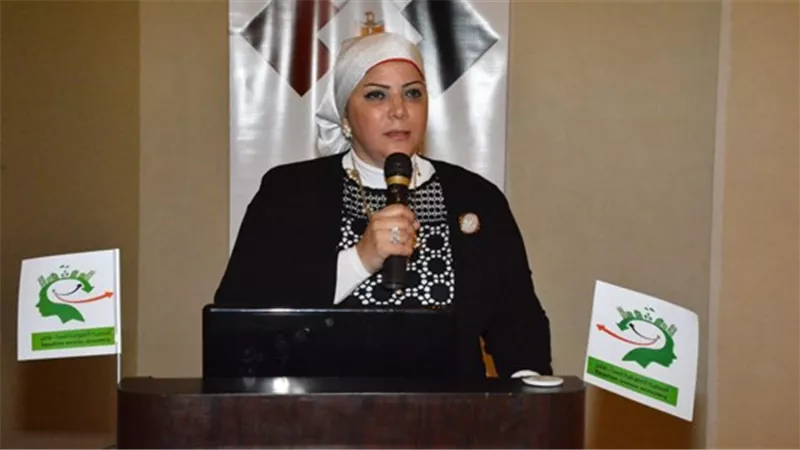 العبسى تلتقي السفير المصري بسلطنة عمان لبحث فرص الاستثمار المتاحة