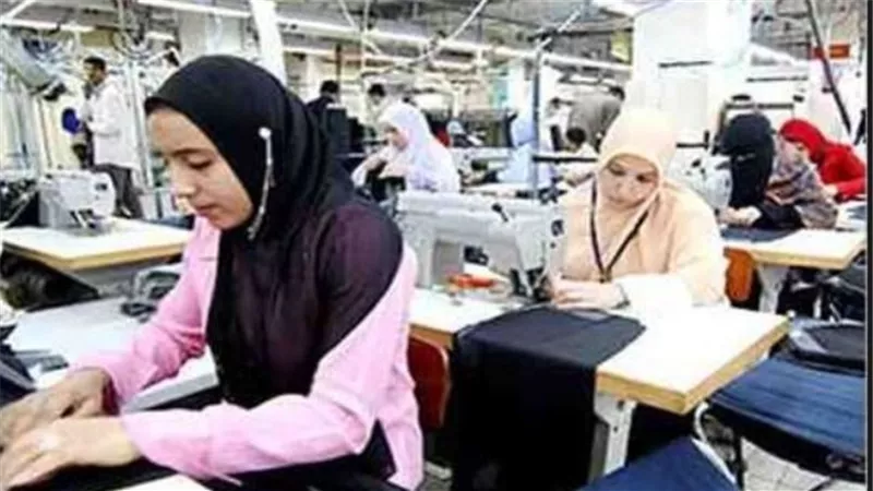 15 مليون و 572 ألف جنيه لتنمية المشروعات الصغيرة خلال ديسمبر