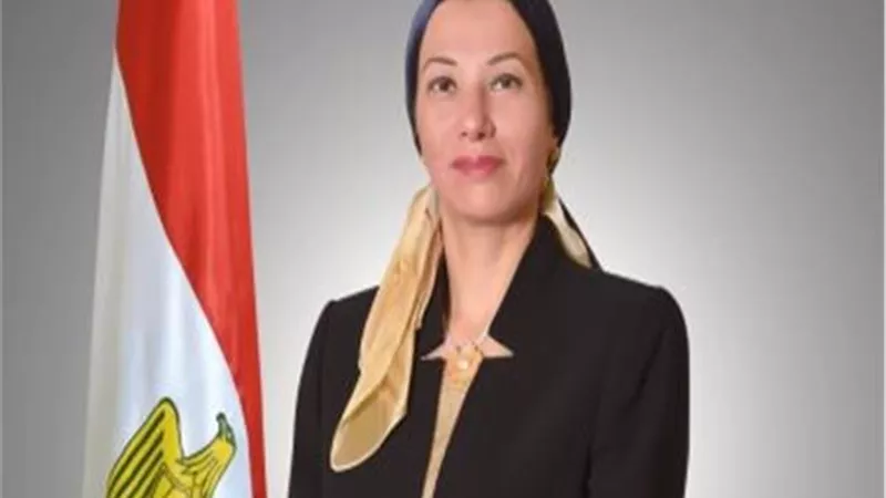 متولي يبحث مع وزيرة البيئة دعم السويس استعدادا لتنظيم الأمم الإفريقية