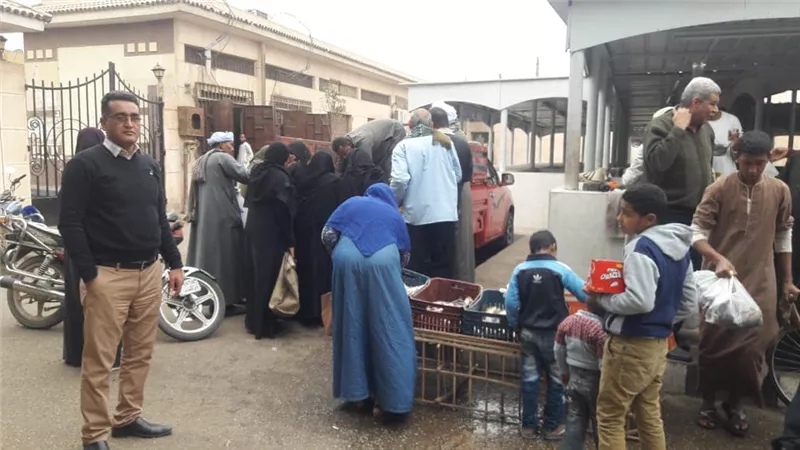 طرح طن أسماك طازجة بسعر 15 جنيه للكيلو بالأقصر