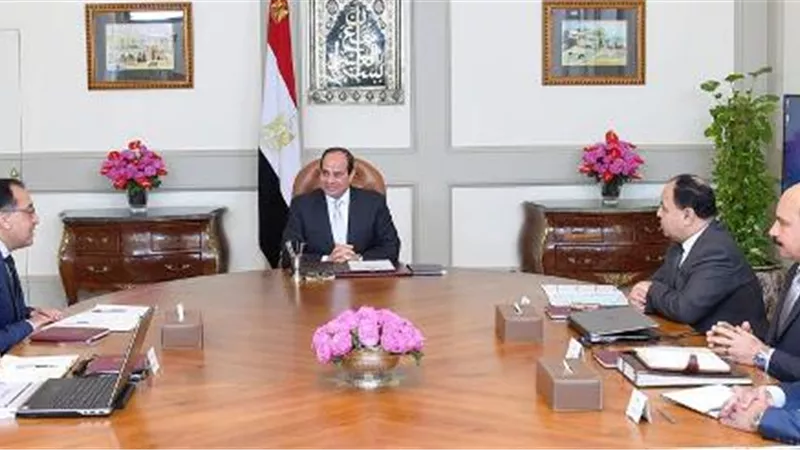 السيسي يتابع مستجدات البرنامج القومي للقضاء على فيروس
