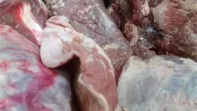 ضبط لحوم مذبوحة خارج مجازر الإسماعيلية ..صور