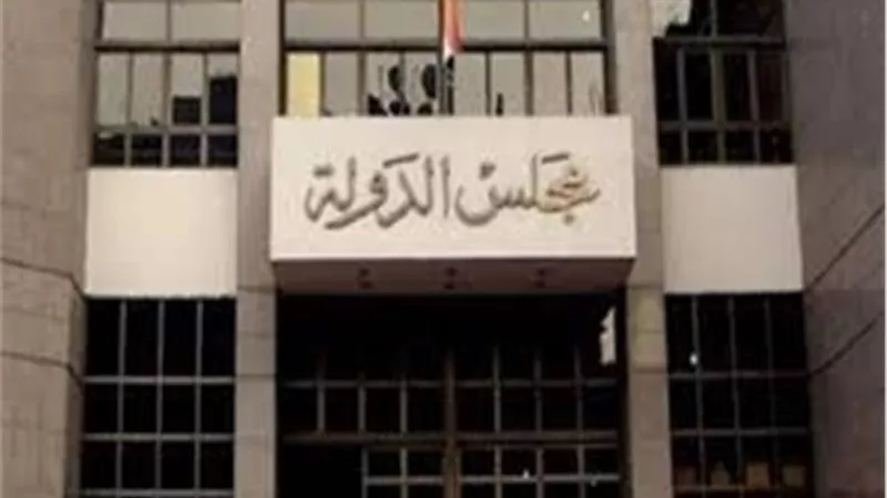 نظر طعن يطالب بتحديد الحد الأدنى للمعاشات خلال ساعات