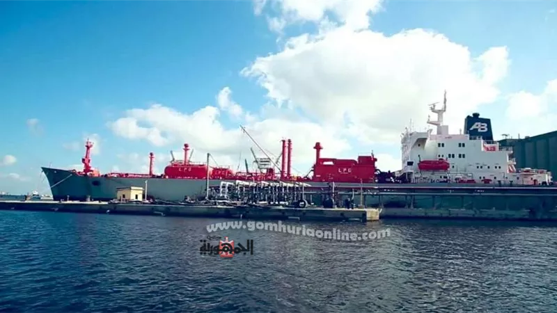 ميناء الاسكندرية يستقبل 192الف طن سلع استراتيجية
