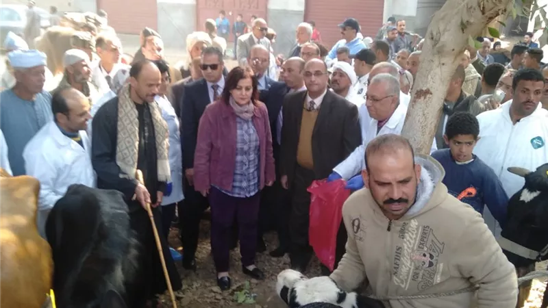 محافظ أسيوط ونائب وزير الزراعة يتفقدان أعمال القافلة الطبية البيطرية.. صور