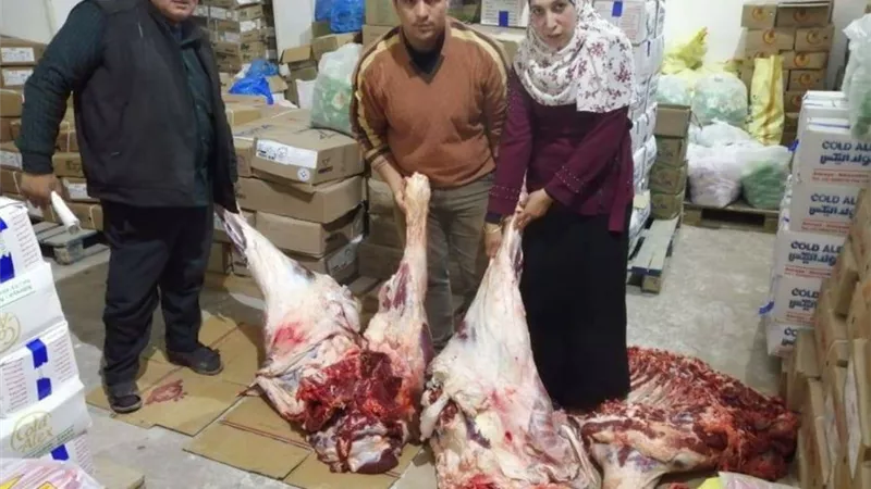 ضبط ذبيحة 200 ك خارج مجزر مطوبس بكفر الشيخ