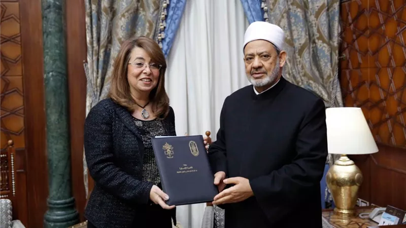 الإمام الأكبر يبحث مع وزيرة التضامن الاجتماعي سبل التعاون المشترك