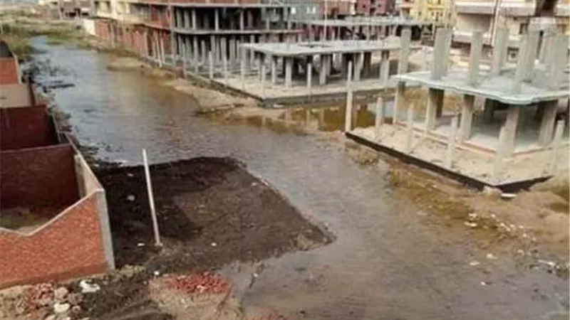 اهالى ١٥مايو بجمصة يستغيثون من عدم توافر الخدمات