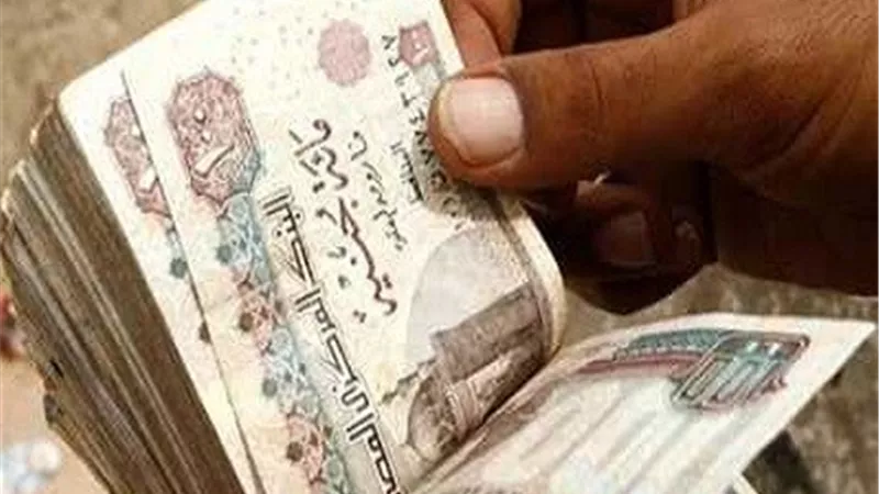 ضحايا مستريح المنوفية بالآلاف والاستثمارات بالملايين.. ومصيدة الارباح 70%