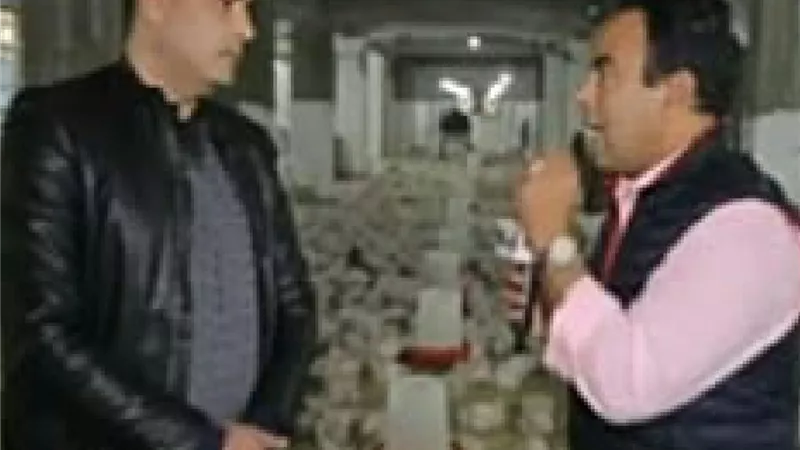 ارتفاع نسبة نفوق الدواجن وحظر التداول.. أزمة المربين بالإسكندرية فيديو