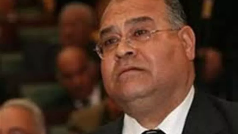 الشهابى:تسلم مصر لرئاسة الاتحاد الأفريقى تتويجا لسياسة خارجية رشيدة