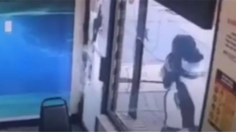 السيدة حطمت المطعم .. بسبب نفاد وجبتها المفضلة