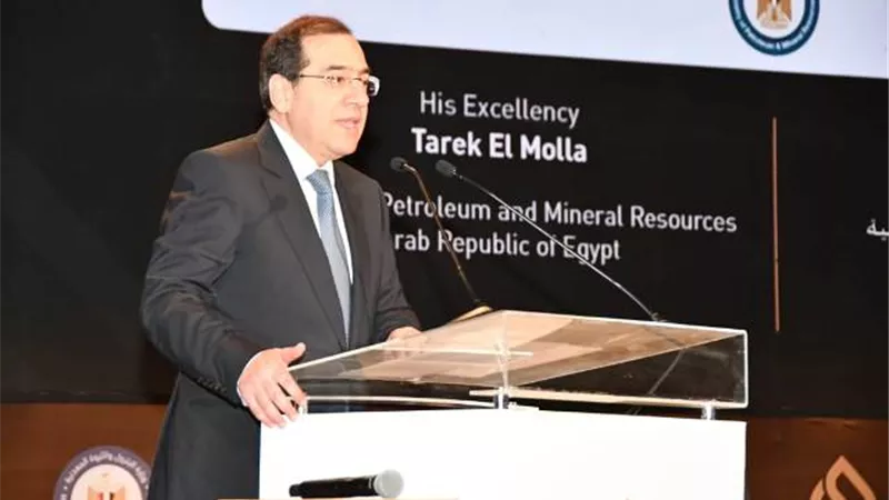 الملا: عام 2018 شهد خطوات إيجابية لتحويل مصر إلى مركز إقليمى لتداول الغاز