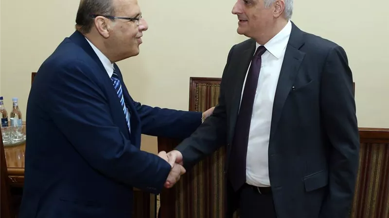 سفير مصر لدى أرمينيا يلتقي نائب رئيس الوزراء الأرميني