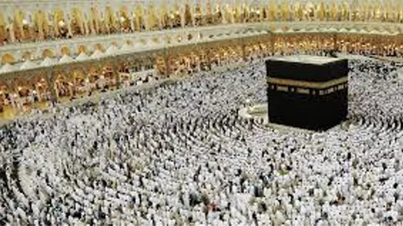 2000 شركة تواصل تلقى طلبات الحج السياحي و70% من التأشيرات للبري والإقتصادي