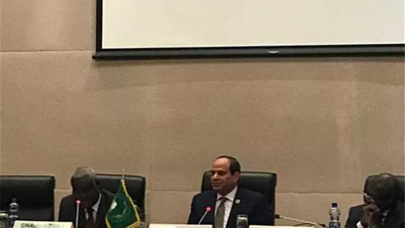 السيسي: نتطلع للتعاون مع الشركاء الاستراتيجيين للاتحاد الأفريقي للخروج بأكبر مكاسب