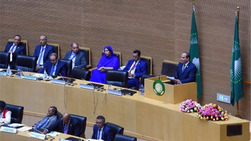 مفوضية الاتحاد الأفريقي :رئاسة السيسي ستكون لها نتائج إيجابية