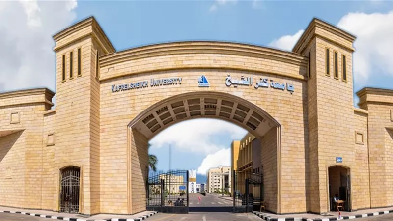 جامعة كفرالشيخ تشارك في تفعيل مبادرة السيسي لمنصة مليون مبرمج