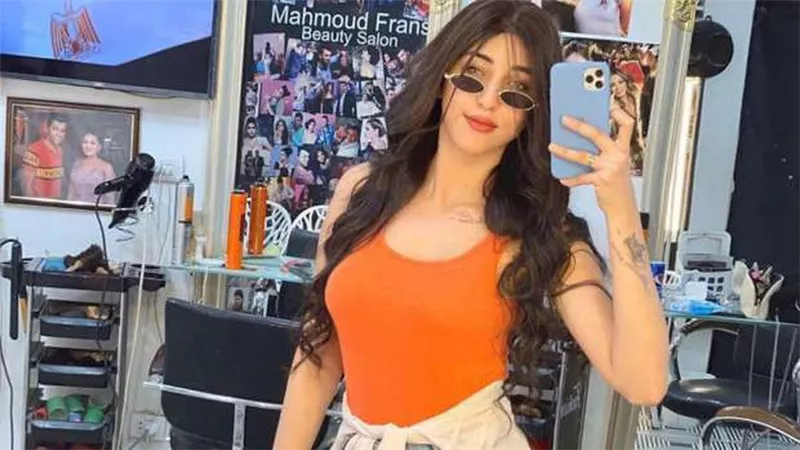 ترحيل منار سامي لطنطا لإنهاء اجراءات اخلاء سبيلها