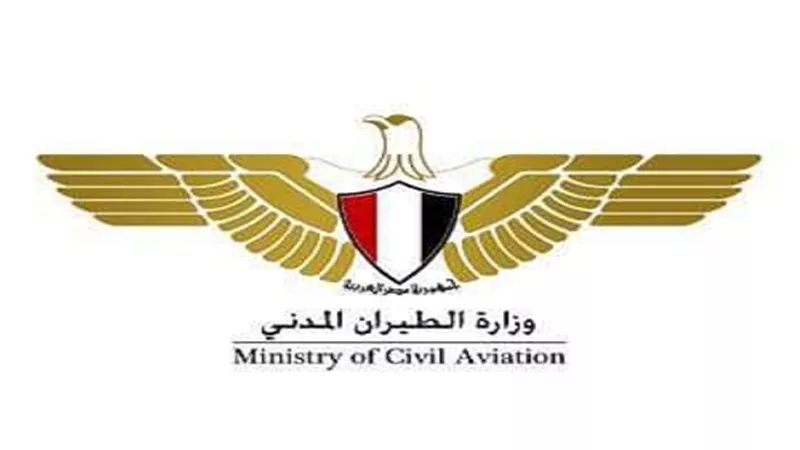 وزارة الطيران: قرار حظر دخول القادمين إلى مصر دون تحليل PCR لهذه الفئة