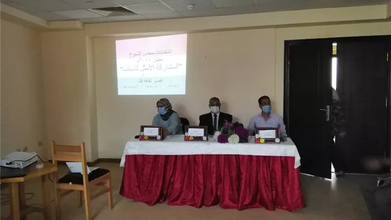 قصر ثقافة قنا واتحاد شباب العمل ينظمان ورشة عمل عن المشاركة الأمثل للشباب فى الانتخابات
