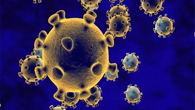دراسة: علاج كورونا ببلازما المتعافين ليس له فائدة فى تقليل أعداد الوفيات