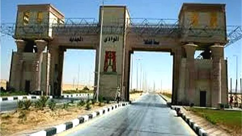 توفير منح مجانية فى 7 كليات المانية لأوائل الثانوية العامة بالوادى الجديد
